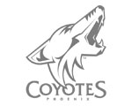 Phoenix Coyotes